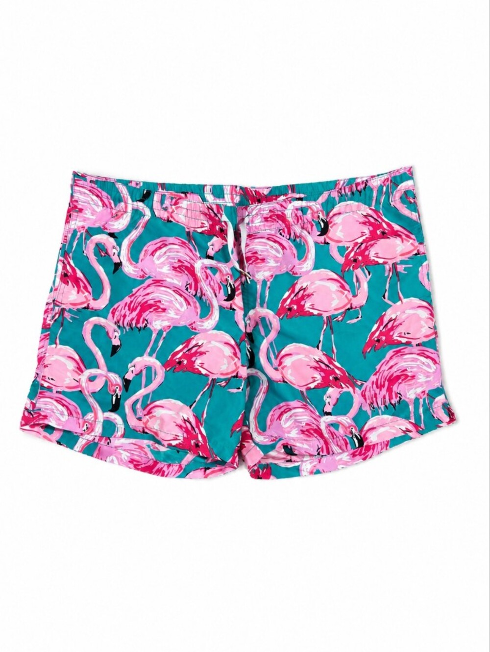 Chubbies Pink Flamingo Print‎ Shorts - Green & Pink